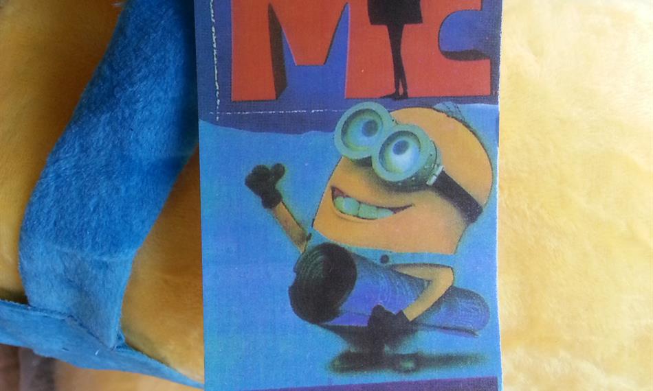 2016-1-19-1132minions 10.jpg